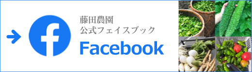 藤田農園公式フェイスブック